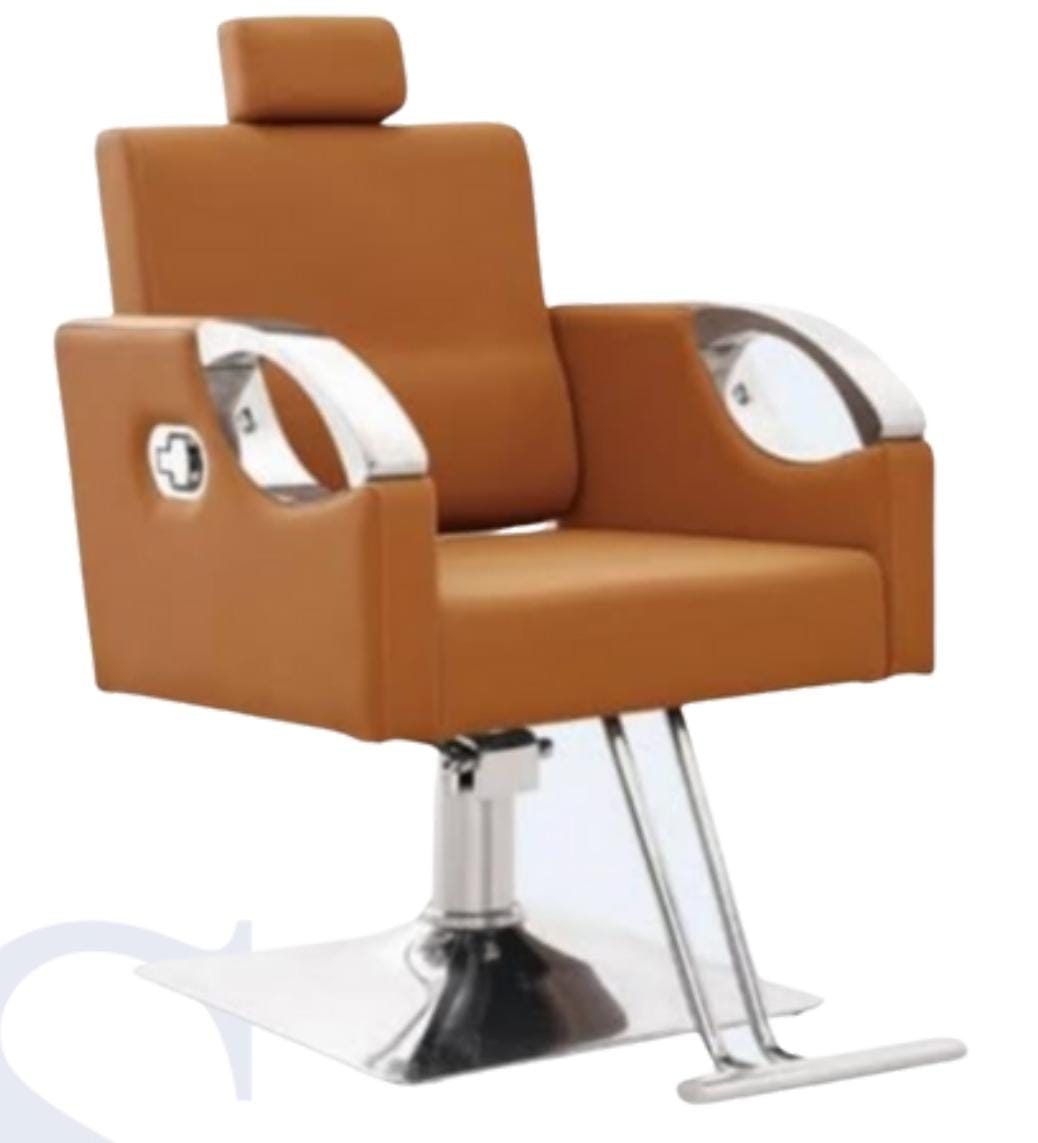 Salon Chair for Leather Beauty Salon Chair, for Professional, with Footrest and Recliner Comfortable Stylish with Durable Construction