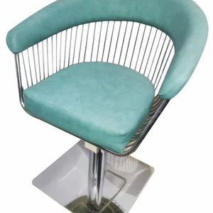 Salon Chair for Modern Design Stylish Beauty Chair for  Swivel, Adjustable for Hair Salon, Comfortable and Durable Design