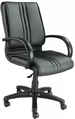 Medium Back Executive Ergonomic Chair with Nylon Base