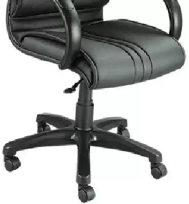 Medium Back Executive Ergonomic Chair with Nylon Base