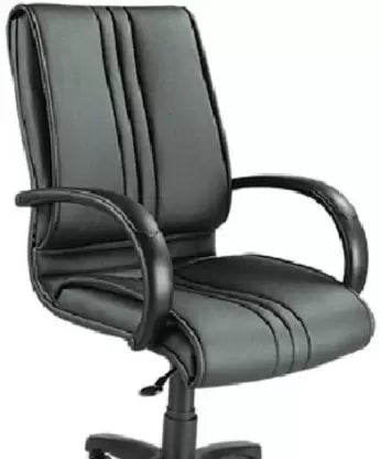 Medium Back Executive Ergonomic Chair with Nylon Base