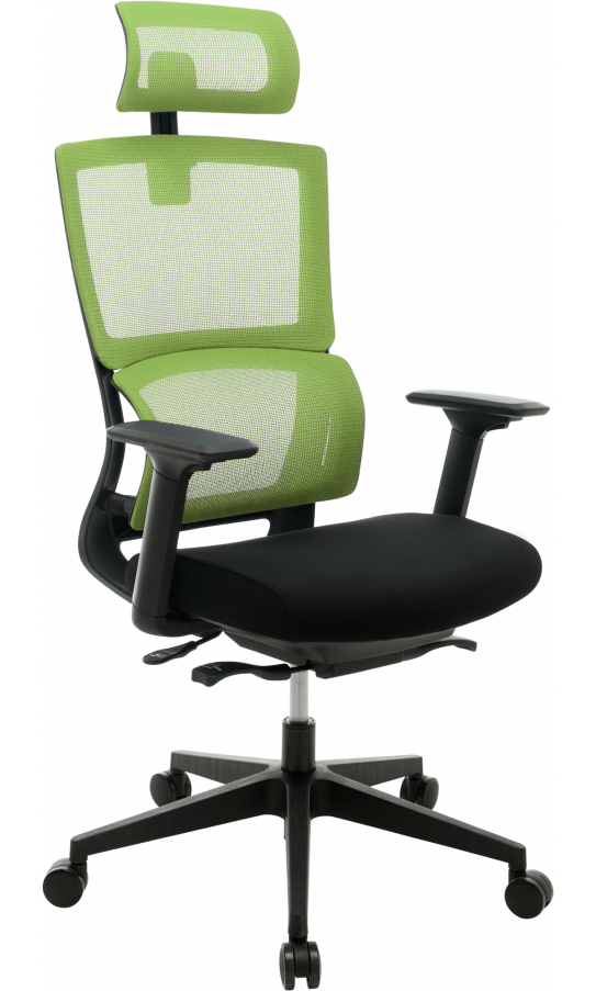 High Back Office Chair with Nylon Base