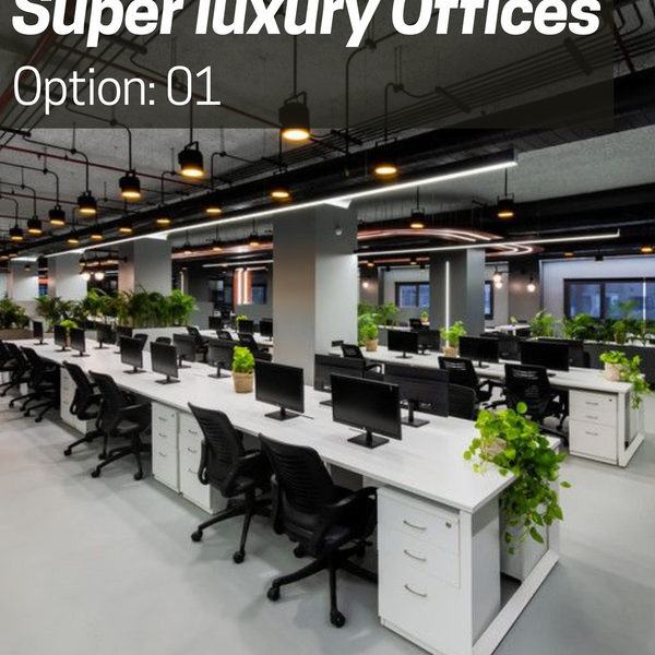 Super Luxury Office Presentation: Options 1