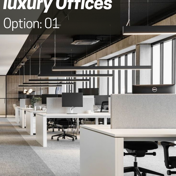 Luxury Office Presentation: Options 1