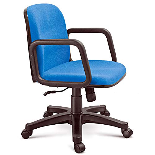 Medium Back Executive Chair with Nylon Base