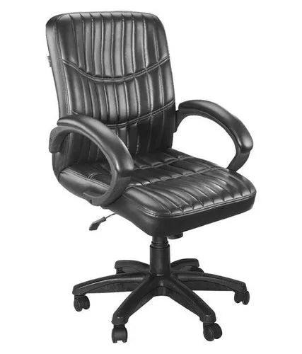 Medium Back Executive Ergonomic Chair with Nylon Base