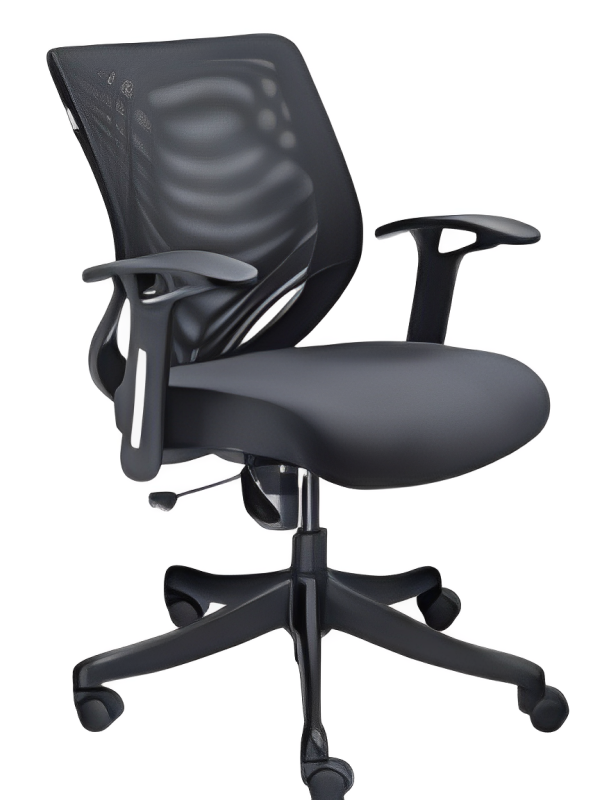 Low Back Executive Office Chair with Nylon Base