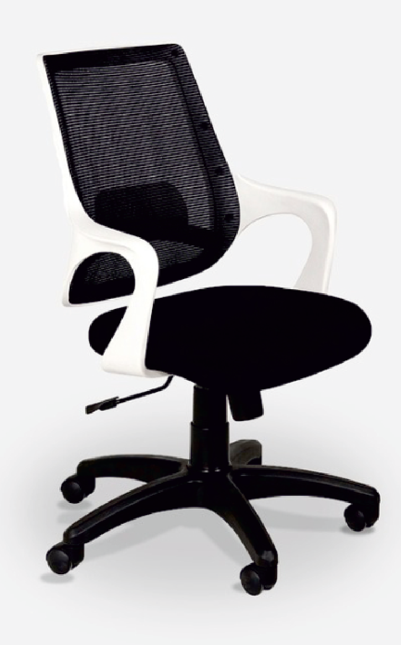 Low Back Executive Office Chair with Nylon Base