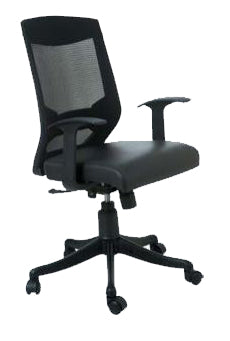 Low Back Executive Office Chair with Nylon Base