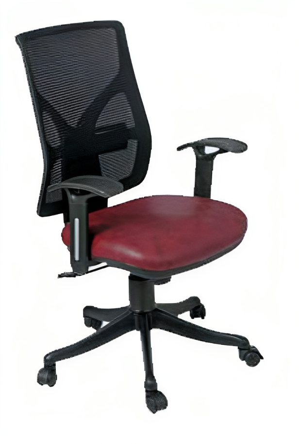 Executive Chair in Low Back with Nylon Base