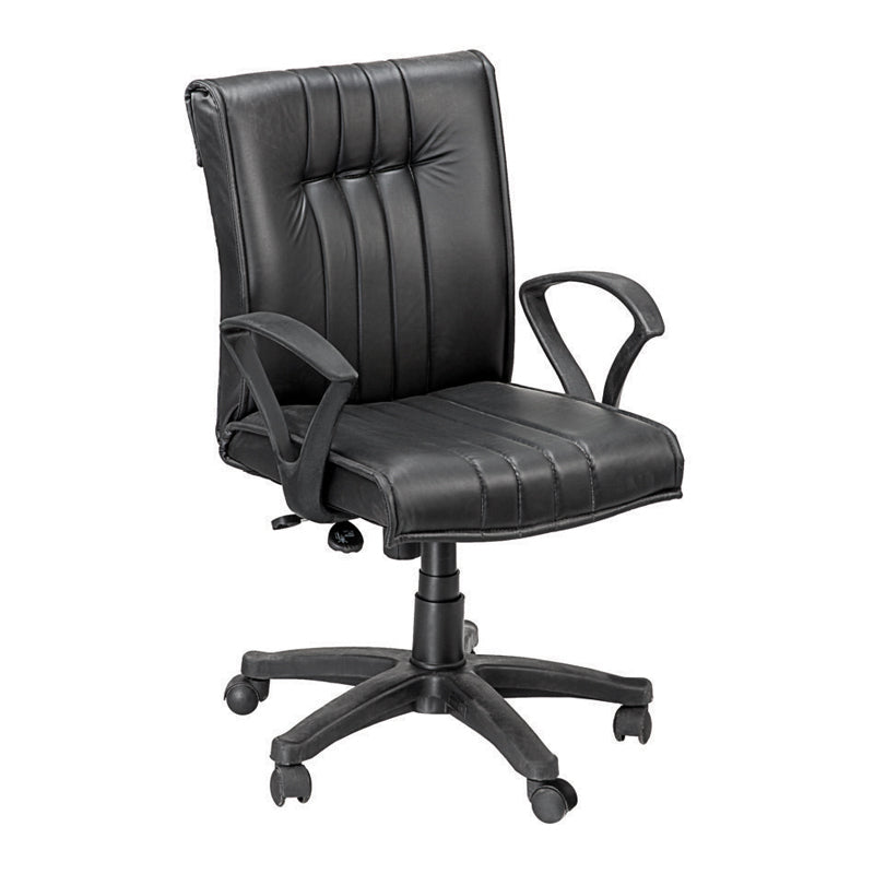 Medium Back Executive Ergonomic Chair with Nylon Base