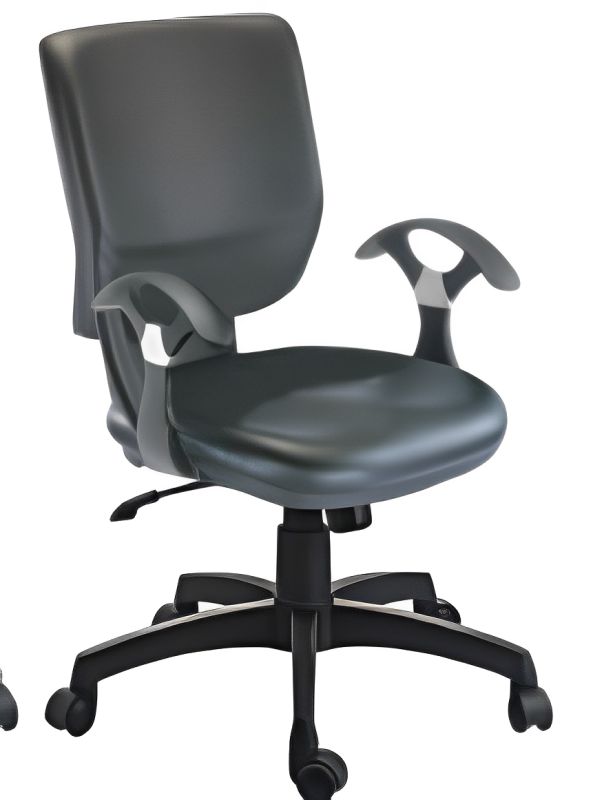 Low Back Executive Office Chair with Nylon Base