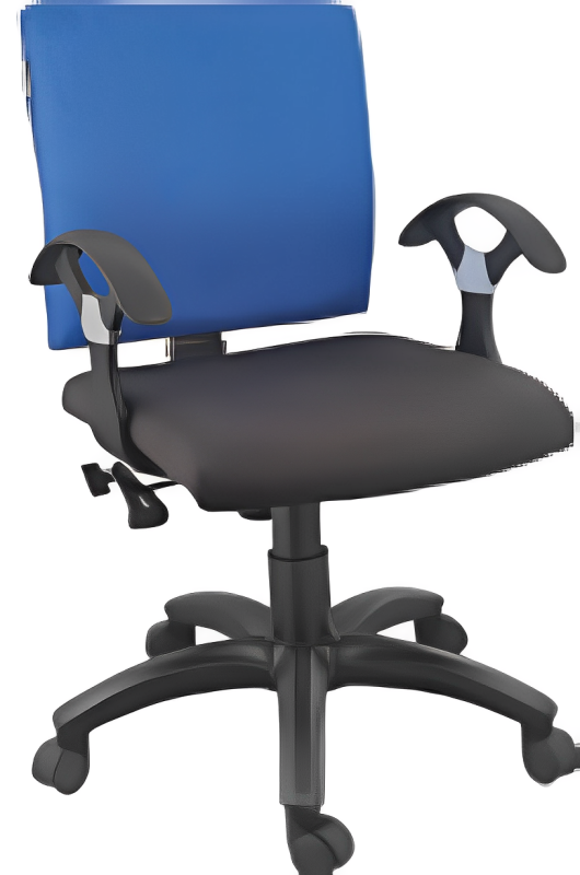 Low Back Executive Office Chair with Nylon Base