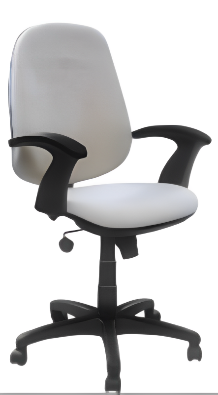 Low Back Executive Office Chair with Nylon Base